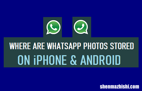 WhatsApp照片存储在iPhone和安卓上的什么位置