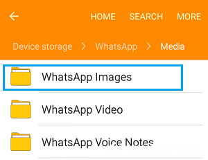 WhatsApp照片存储在iPhone和安卓上的什么位置