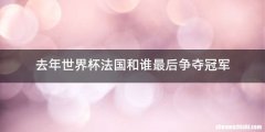 去年世界杯法国和谁最后争夺冠军