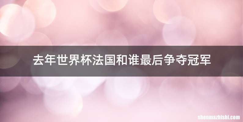 去年世界杯法国和谁最后争夺冠军