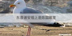东晋谢安祖上是陈国哪里
