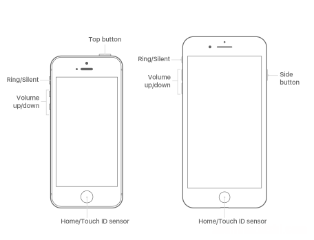 苹果手机所有型号 如何在iPhone上截图
