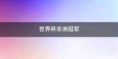 世界杯非洲冠军