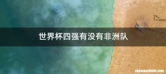 世界杯四强有没有非洲队