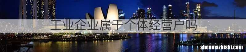 工业企业属于个体经营户吗