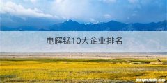 电解锰10大企业排名