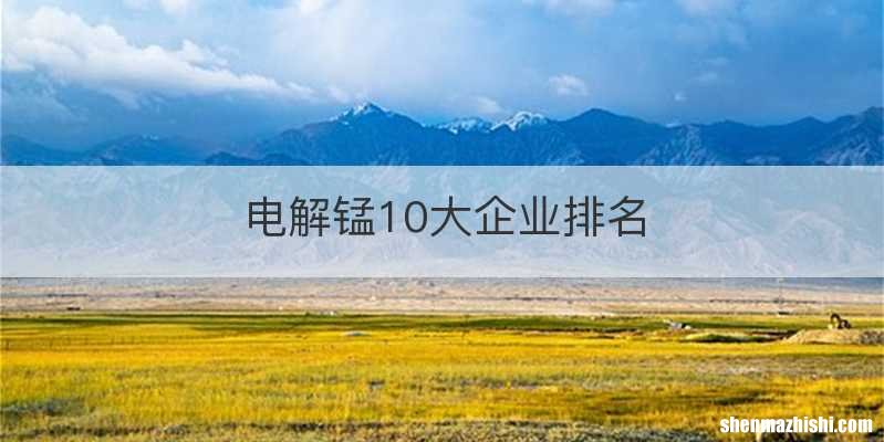 电解锰10大企业排名