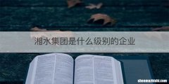 湘水集团是什么级别的企业