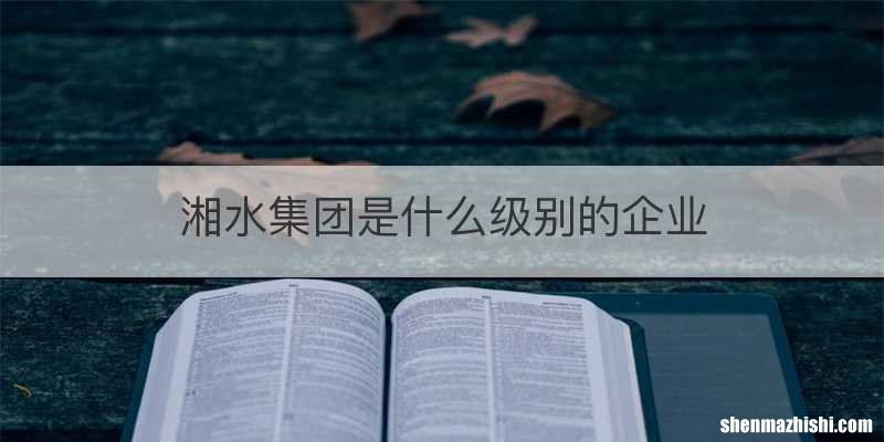 湘水集团是什么级别的企业