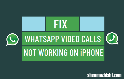 修复：WhatsApp视频通话在iPhone用不了
