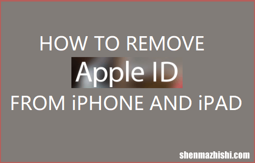 如何从iPhone或iPad上删除AppleID，简单移除方法