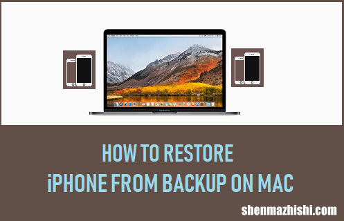 如何从Mac电脑上的备份恢复iPhone手机
