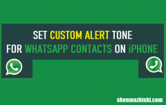 在iPhone上为WhatsApp联系人设置自定义提示音