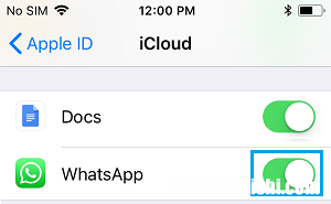 WhatsApp不在iPhone上备份：如何修复？