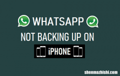 WhatsApp不在iPhone上备份：如何修复？