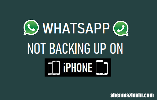 WhatsApp不在iPhone上备份：如何修复？