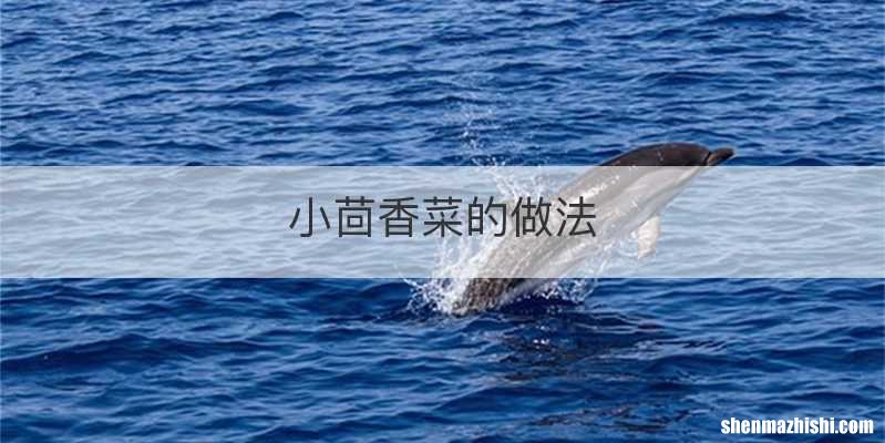 小茴香菜的做法