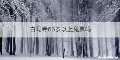 白马寺65岁以上免票吗