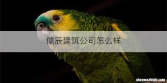 儒辰建筑公司怎么样