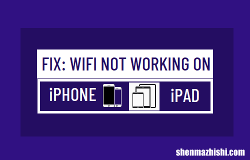WiFi网络在iPhone上不工作如何修复？