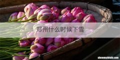 郑州什么时候下雪