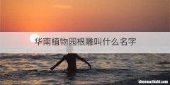 华南植物园根雕叫什么名字