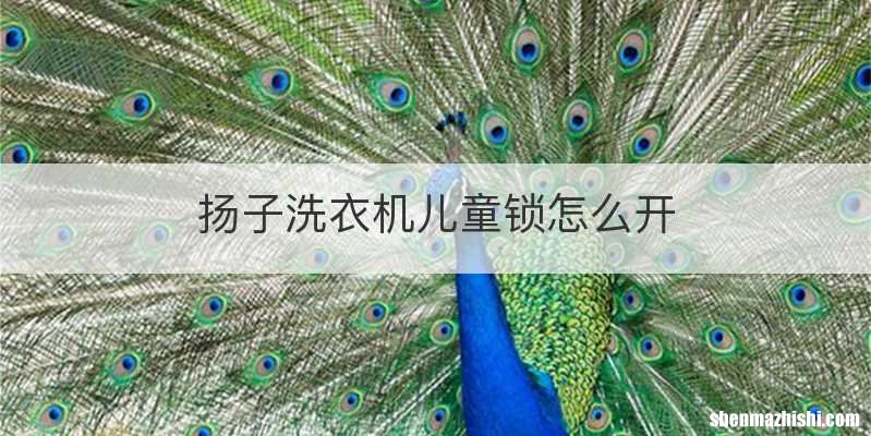 扬子洗衣机儿童锁怎么开