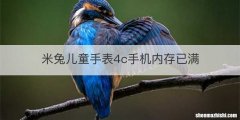 米兔儿童手表4c手机内存已满