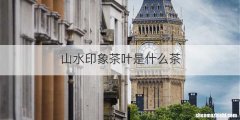 山水印象茶叶是什么茶
