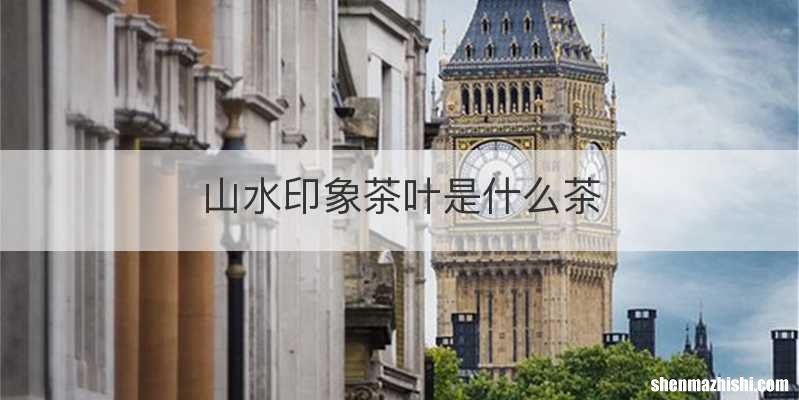山水印象茶叶是什么茶