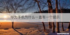 华为手机为什么一直有一个提示
