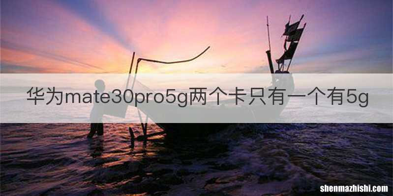 华为mate30pro5g两个卡只有一个有5g