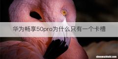 华为畅享50pro为什么只有一个卡槽