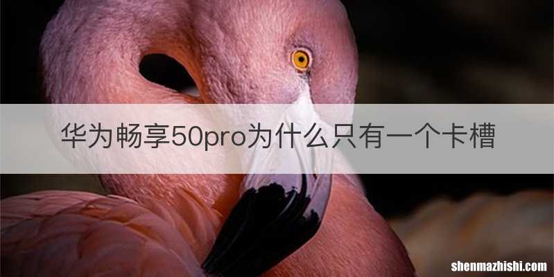 华为畅享50pro为什么只有一个卡槽