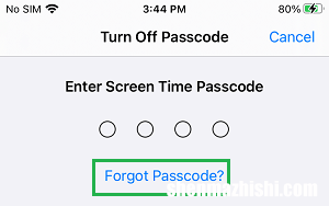 如何在iPhone和iPad上重置屏幕时间密码