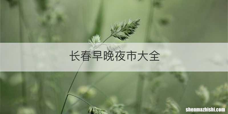 长春早晚夜市大全