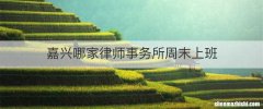 嘉兴哪家律师事务所周末上班