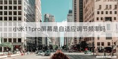 小米11pro屏幕是自适应调节频率吗
