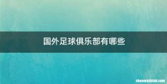 国外足球俱乐部有哪些