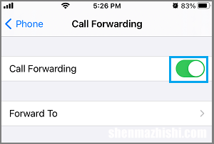 如何在苹果iPhone上禁用或停用语音邮件