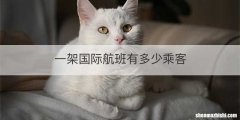 一架国际航班有多少乘客