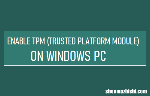 可信平台模块 在Windows电脑上启用TPM