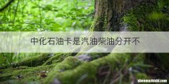 中化石油卡是汽油柴油分开不