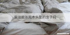 柴油能杀死木头里的虫子吗