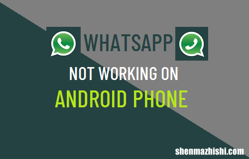WhatsApp无法在安卓手机上运行