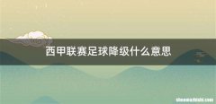 西甲联赛足球降级什么意思