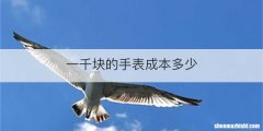 一千块的手表成本多少