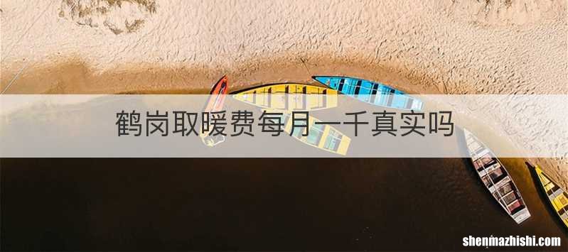鹤岗取暖费每月一千真实吗