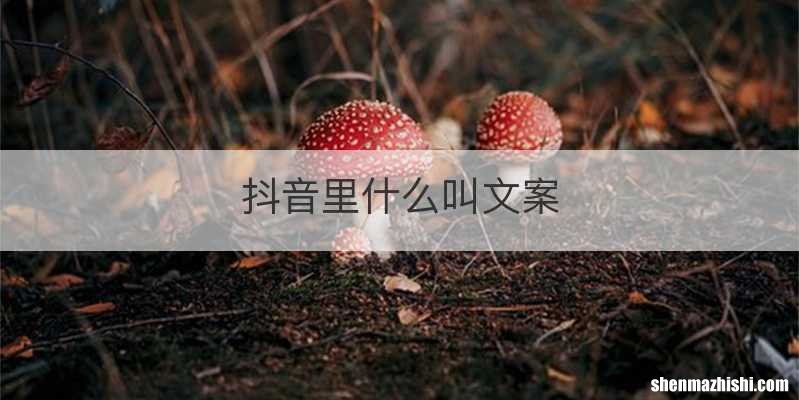 抖音里什么叫文案