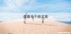 盛夏毛不易文案